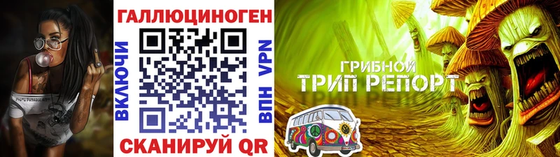 Галлюциногенные грибы Psilocybine cubensis  магазин    Шали 