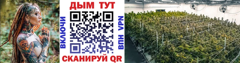 где можно купить наркотик  mega онион  Бошки Шишки White Widow  Шали 